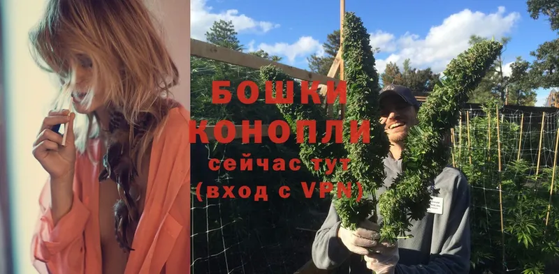 где купить   Новосибирск  Конопля SATIVA & INDICA 